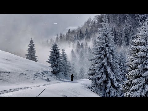 Iarna în cel mai frumos loc din Apuseni | Padiş - Munţii Bihorului