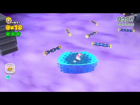 Super Mario 3D World 8-4 Speedrun - Time: 28 (Former WR)