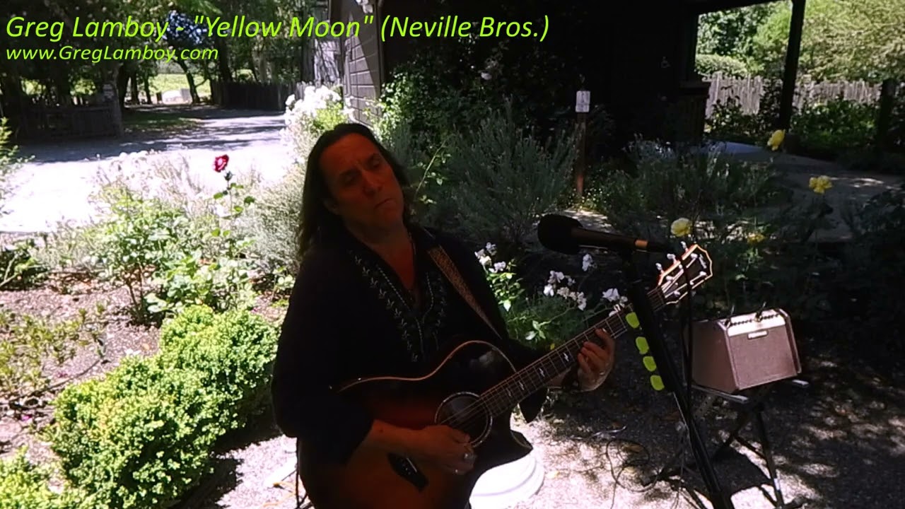 Promotional video thumbnail 5 for Greg Lamboy