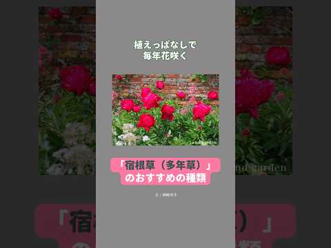 庭で一年中花を咲かせる植物はどれですか?冬でも花が残る7種！  庭園
