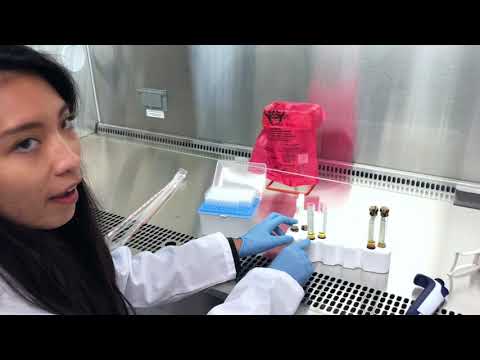 Blood Sample Processing