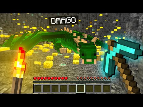 HO TROVATO UN DRAGO IN CAVERNA - MINECRAFT
