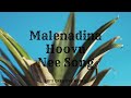Malenadina Hoovu Nee Song | kannada song | adi's creative world | must watch !