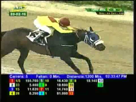 Resumen Sábado, 20 de Febrero de 2016 - La Rinconada