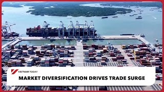 Market diversification drives trade surge | Vietnam Today
