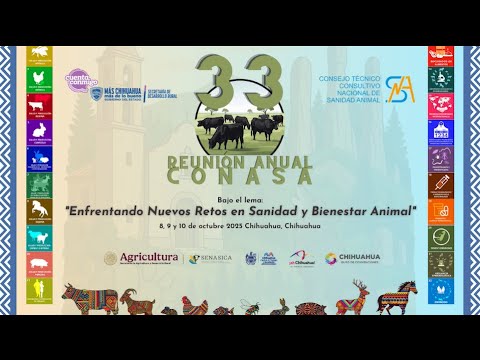 75 años CPA