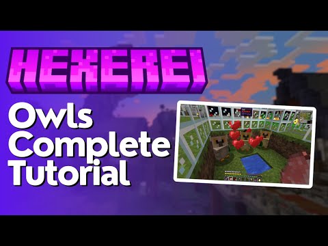 How to Tame & Use Owls in Hexerei