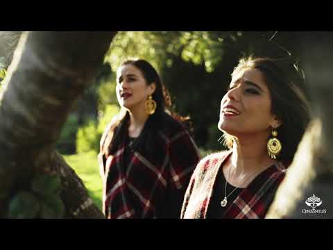 Los Cenzontles Ft. David Hidalgo - Los Dos Amantes