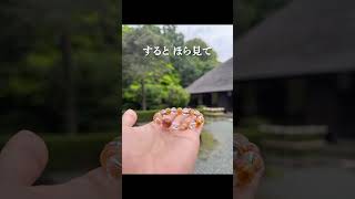 金運が爆上げの撮影テクニックを教えます