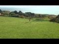 Lucy Zara Farm