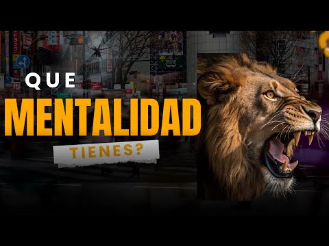 Del caos al control: cómo tener la mentalidad del león