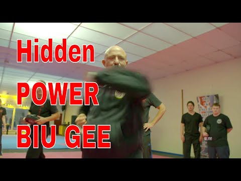 Hidden POWER BIU GEE WING CHUN