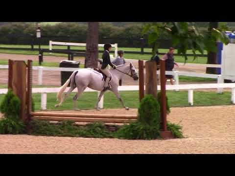 Video of OLIVER TWIST ridden by ALEXANDRA MILLER from ShowNet!