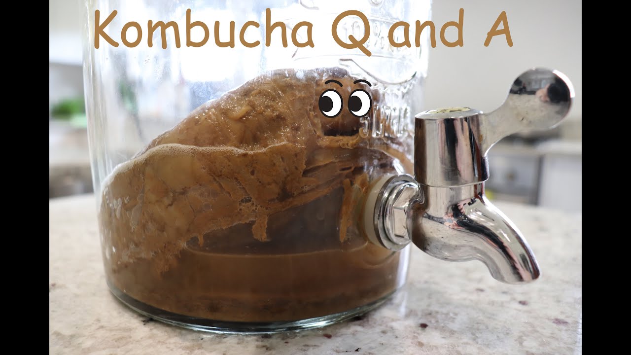 Common kombucha problems and how to fix them