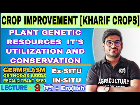 crop improvement kharif bsc ag 5th semester syllabus analysis