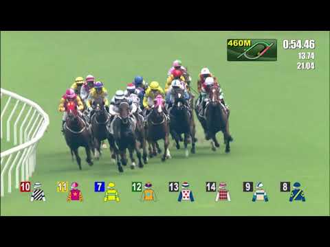 12/9/2021 (22) Golden Four - B Shinn