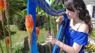 REQUIEM FOR A DREAM  (main theme) - harp / harpe - Clint Mansell / Lux Aeterna