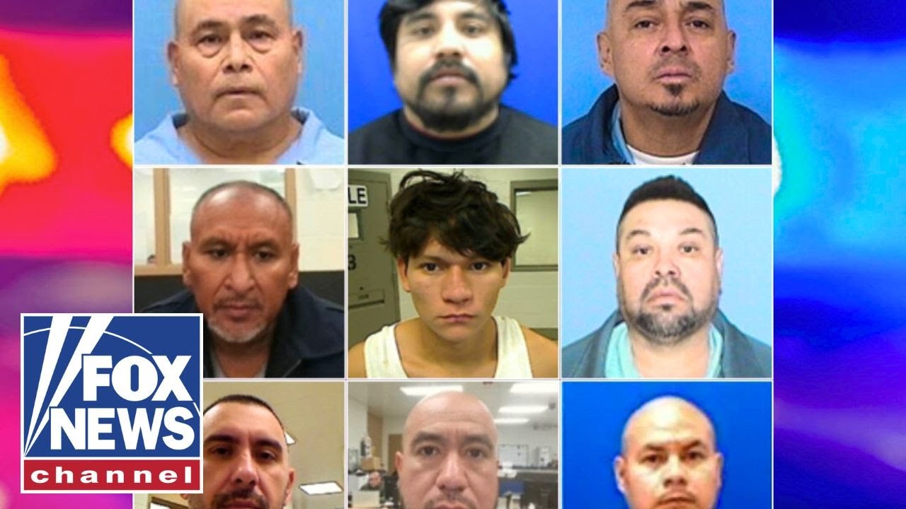 NEW: DHS claims Illinois released over 1.7K illegal migrants