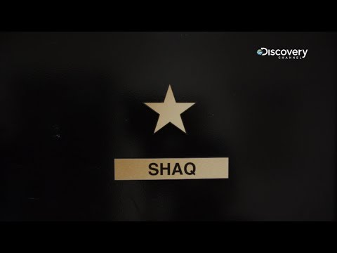 Shaq Week | Shark Week 2018
