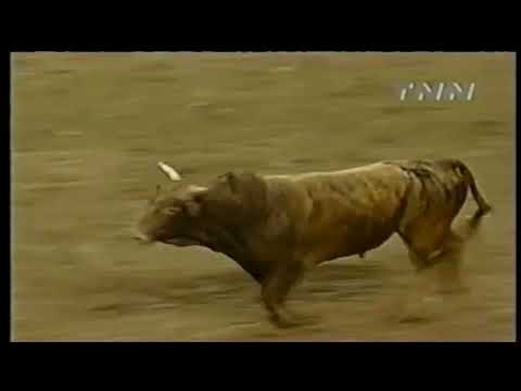 Curt Lyons vs Rockin Wolf - 00 PBR Portland (90 pts)