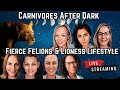 Carnivore After Dark | The Carnivore Queens: Women Leading the Way in the Carnivore Lifestyle