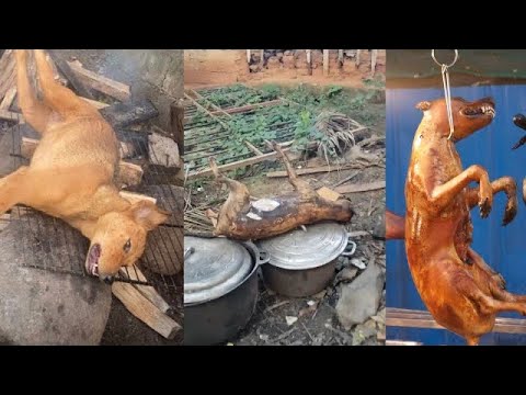 Kenyans now cook, prepare and eat dog and cat meat 🥺😳 | Meet a kenyan who ate dog meat in Nigeria
