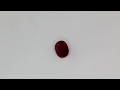 Rubino taglio ovale, 1.04 ct Video 1