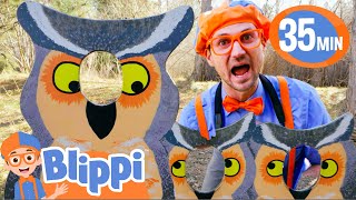 Blippi Visits a Nature Center! | BEST OF BLIPPI TOYS | Educational Videos for Kids