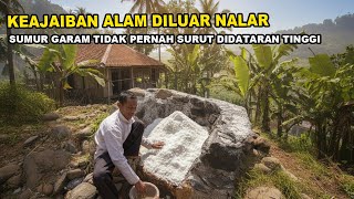Download lagu HEBOH ‼️ GARAM MUNCUL DI DATARAN TINGGI KAMPUNG JOGJOGAN mp3