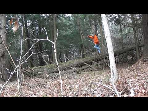 Kailey Birthday Wish