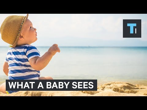 What Babies See During Their First Year