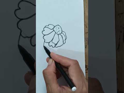 how to draw beautiful and easy flower drawing