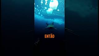 Esse pinguin escapou por pouco!