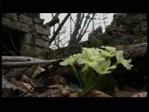 Intervento di Renato Miniutti - SentieriNatura 2010 - 07