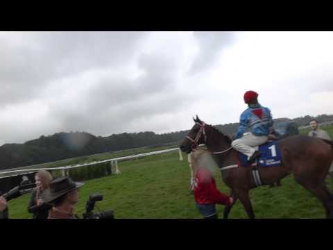 GALOPPSPELAREN - Segerglädje efter Darcys seger i Danskt Derby 2012.