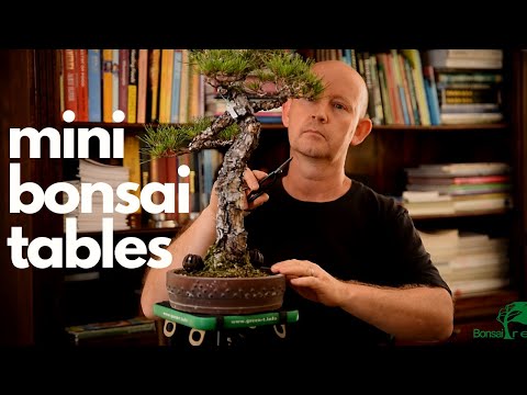 Green T Mini Bonsai Turntables