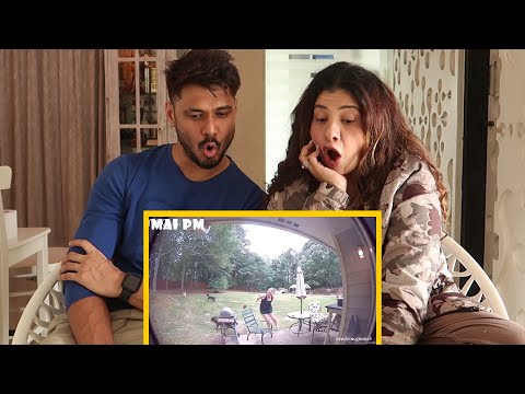 REACTING to Funny VIRAL DOG VIDEOS! | Sambhavi Reacts | EP 2