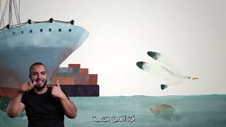 حَفْلَةُ نَوَارِسٍ
