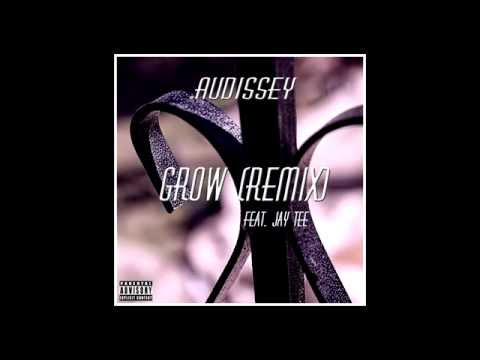 Grow (Remix) Feat. Jay Tee - Audissey