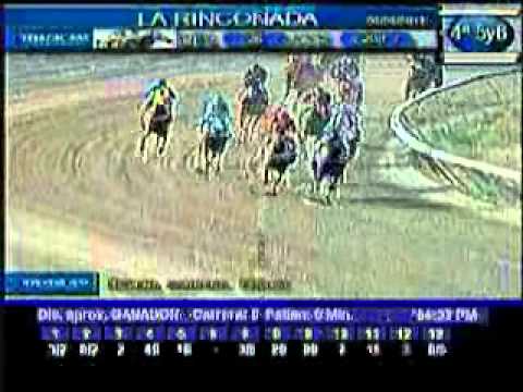 Resumen Sábado 2 de abril 2011 - La Rinconada