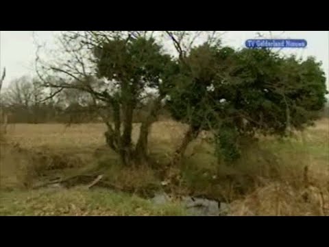 GLD Nieuws 23 februari 2008 - Nieuws