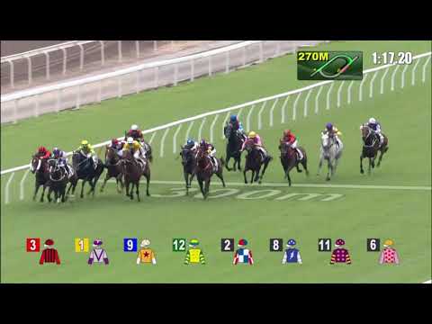 29/11/2020 (227) Sky Darci - J Moreira (The Chevalier Cup)