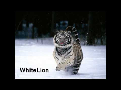 Christian alvarez - Hands in the air (feat. Joe´Leon Davenue - Karol VVII & MB Valence Loco remix)