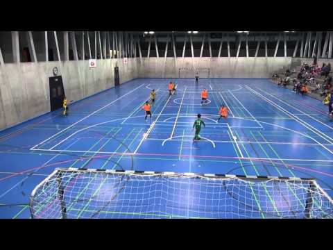 BSC Old Boys U12 - SC Binningen Da 16.01.2016