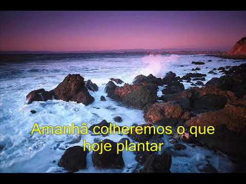 Os Miosótis Voltam A Florir - Músicas Espíritas