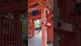 1800年の歴史…国宝と神前式の住吉神社が別格すぎた