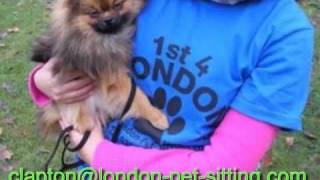 preview picture of video 'Clapton Dog Walking | Dog Walker Hackney | Dog Sitter'