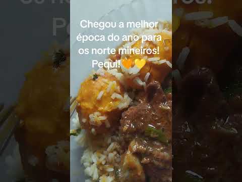 "Pequi é bão demais da conta moss!"☺️😂💛🧡 #pequi #lala_e_lay #nortedeminas #youtuber #minasgerais