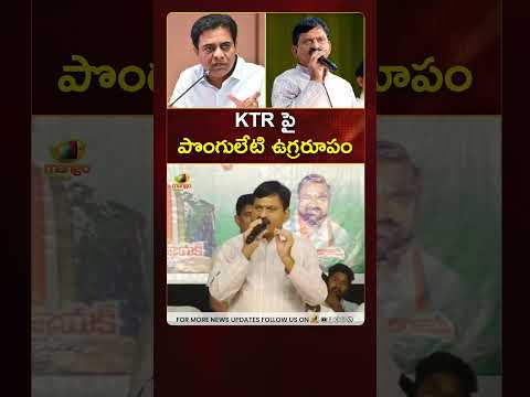 KTR పై పొంగులేటి ఉగ్రరూపం | #PonguletiSrinivasReddy | #YTShorts | #TelanganaPolitics | Mango News