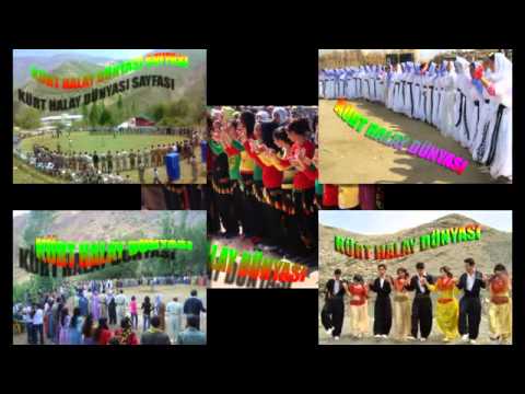 KOMA RONİ POTPORİ (Face/KÜRT HALAY SAYFASI)